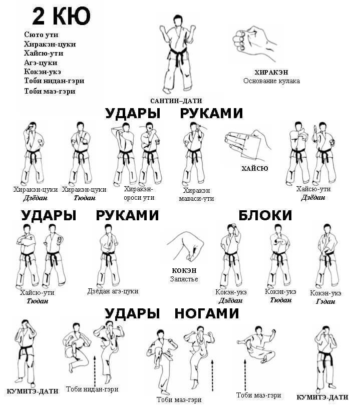 Карате инструкция по применению. Удары руками в каратэ названия. Название ударов в каратэ киокушинкай. Удары руками в каратэ киокушинкай. Кихон на 4 кю киокушинкай.