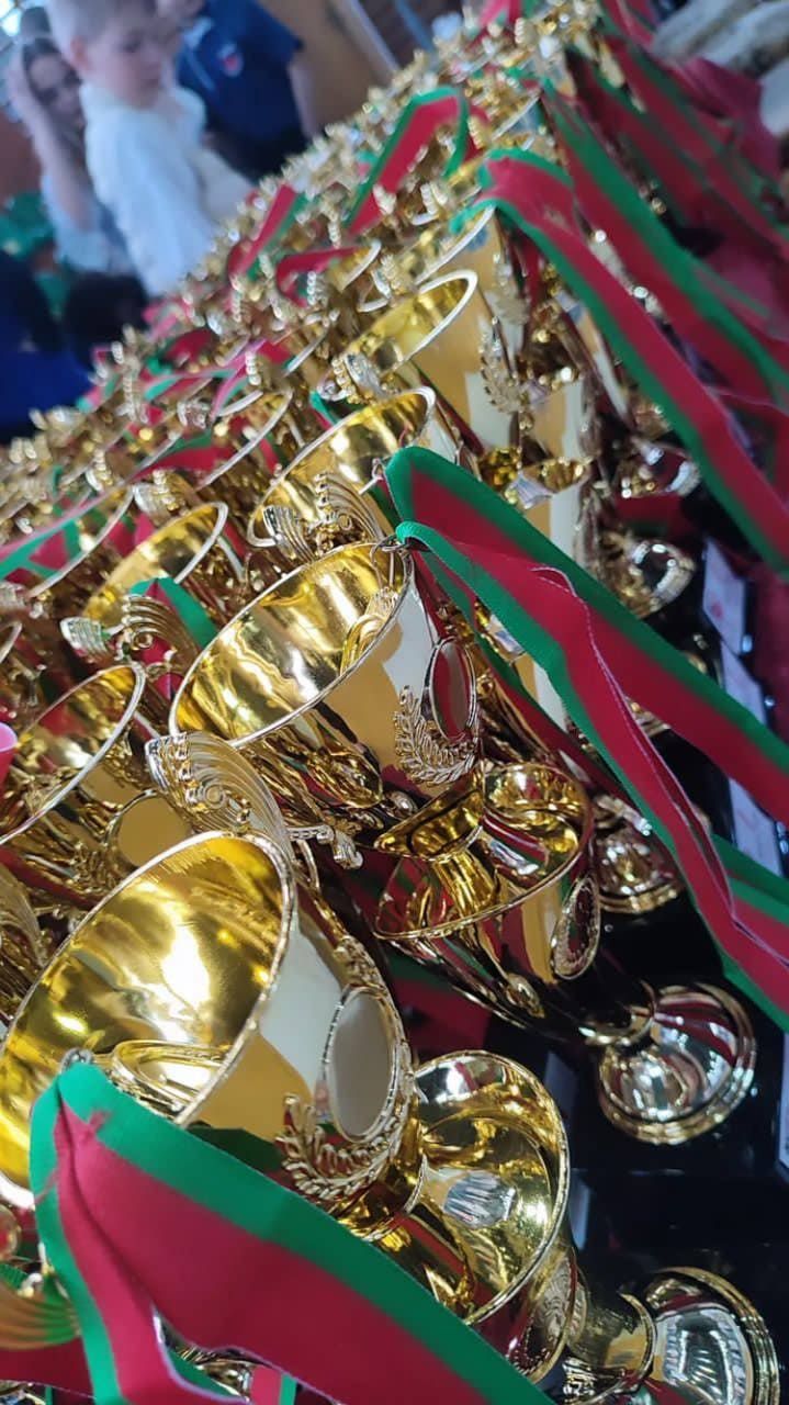 "Белый воин" 2024 (г. Несвиж)