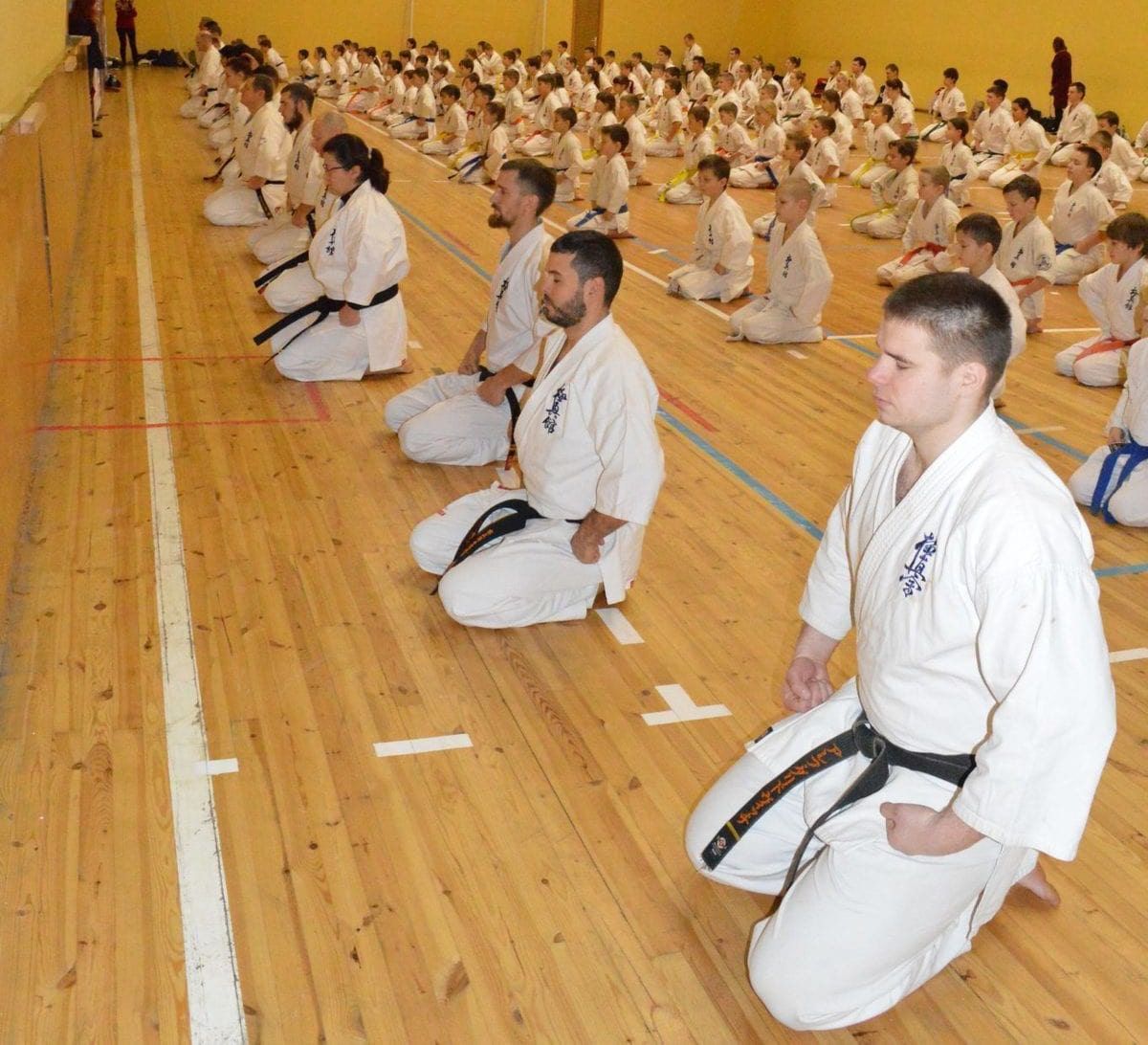 Учебно-квалификационные сборы по киокушин-кан карате-до в Гомеле 22.01.2021