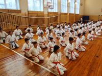 Результаты КЮ-теста минской школы кекусинкай карате «Школа Мужества»