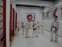 Кю-тест по киокушин карате май 2020