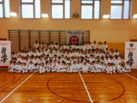 Результаты КЮ-теста минской школы кекусинкай карате «Школа Мужества»