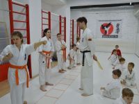 Кю-тест по киокушин карате май 2020