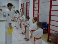 Кю-тест по киокушин карате май 2020