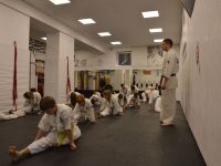 Кю-тест по киокушин карате май 2020