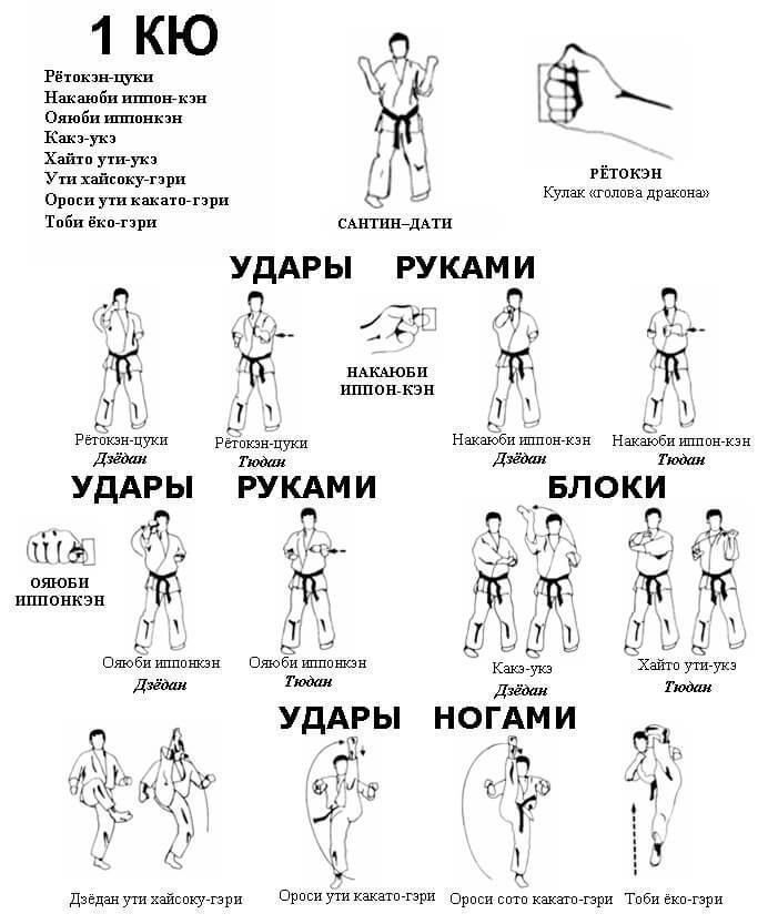 Схемы кихонов 1 кю