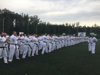 Летняя школа и Кубок мира KWU