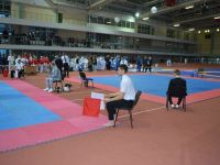 Судейский семинар по правилам KI и KWU в Минске