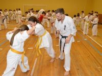 Тренировочные сборы по Кёкусинкан карате в Гомеле