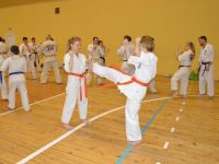 Тренировочные сборы по Кёкусинкан карате в Гомеле