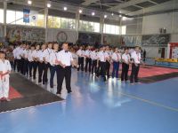 Судейский семинар по правилам KI и KWU в Минске