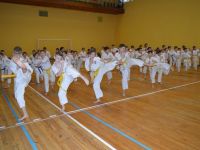 Тренировочные сборы по Кёкусинкан карате в Гомеле