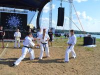 Шимко собирает друзей