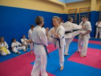 О семинаре с абсолютным чемпионом мира