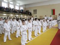 Итоги клубного турнира «Храброе сердце» по кекусинкай карате