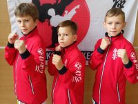 9-е первенство Витебской области по карате-до