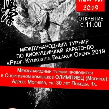 Турнир по карате Profi Kyokushin Belarus Open