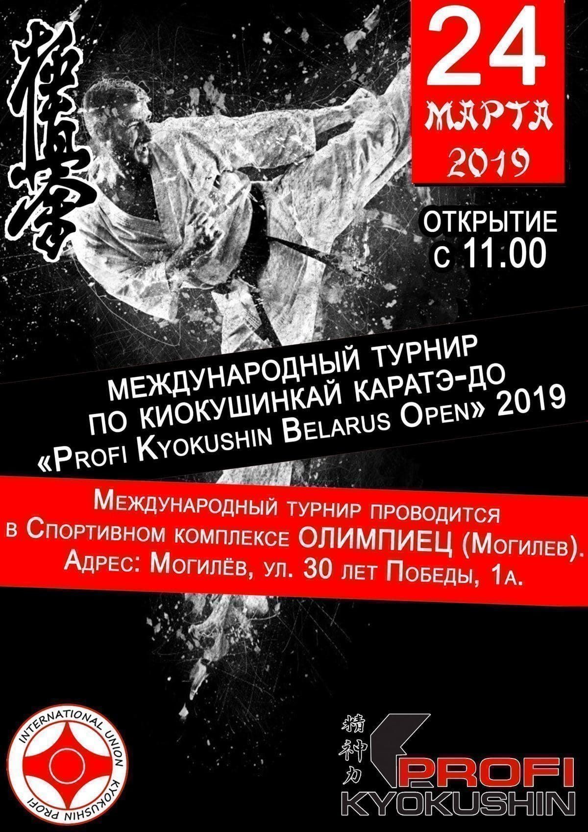 Турнир по каратэ Profi Kyokushin Belarus Open
