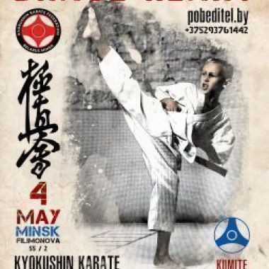 Турнир по карате Храброе Сердце