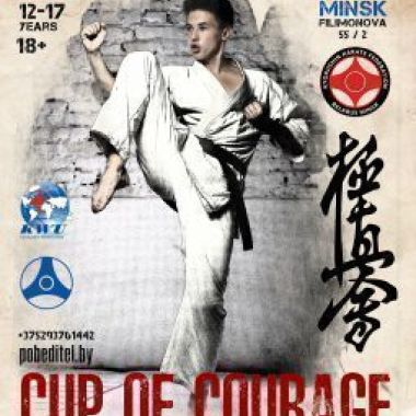 Чемпионат по карате Кубок Мужества