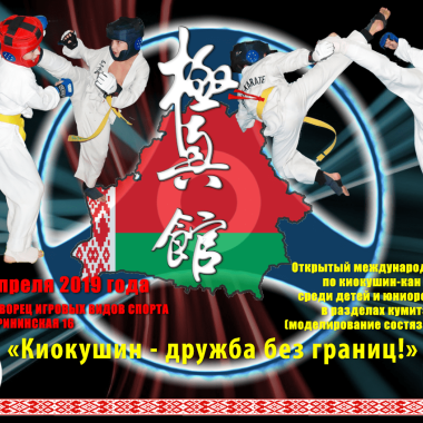 Киокушин — дружба без границ