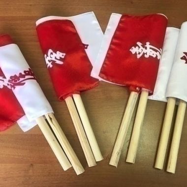 Судейский семинар по правилам KI и KWU в Минске