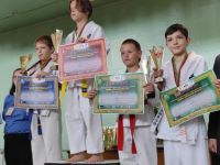 Первенство по киокушин карате Кубок княгини Ольги