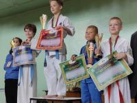 Первенство по киокушин карате Кубок княгини Ольги