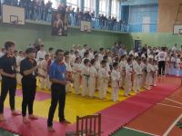 Первенство по киокушин карате Кубок княгини Ольги