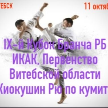 первенство Витебской области по карате