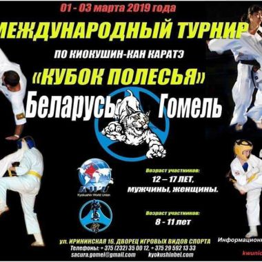 Положение турнира по каратэ Кубок Полесья