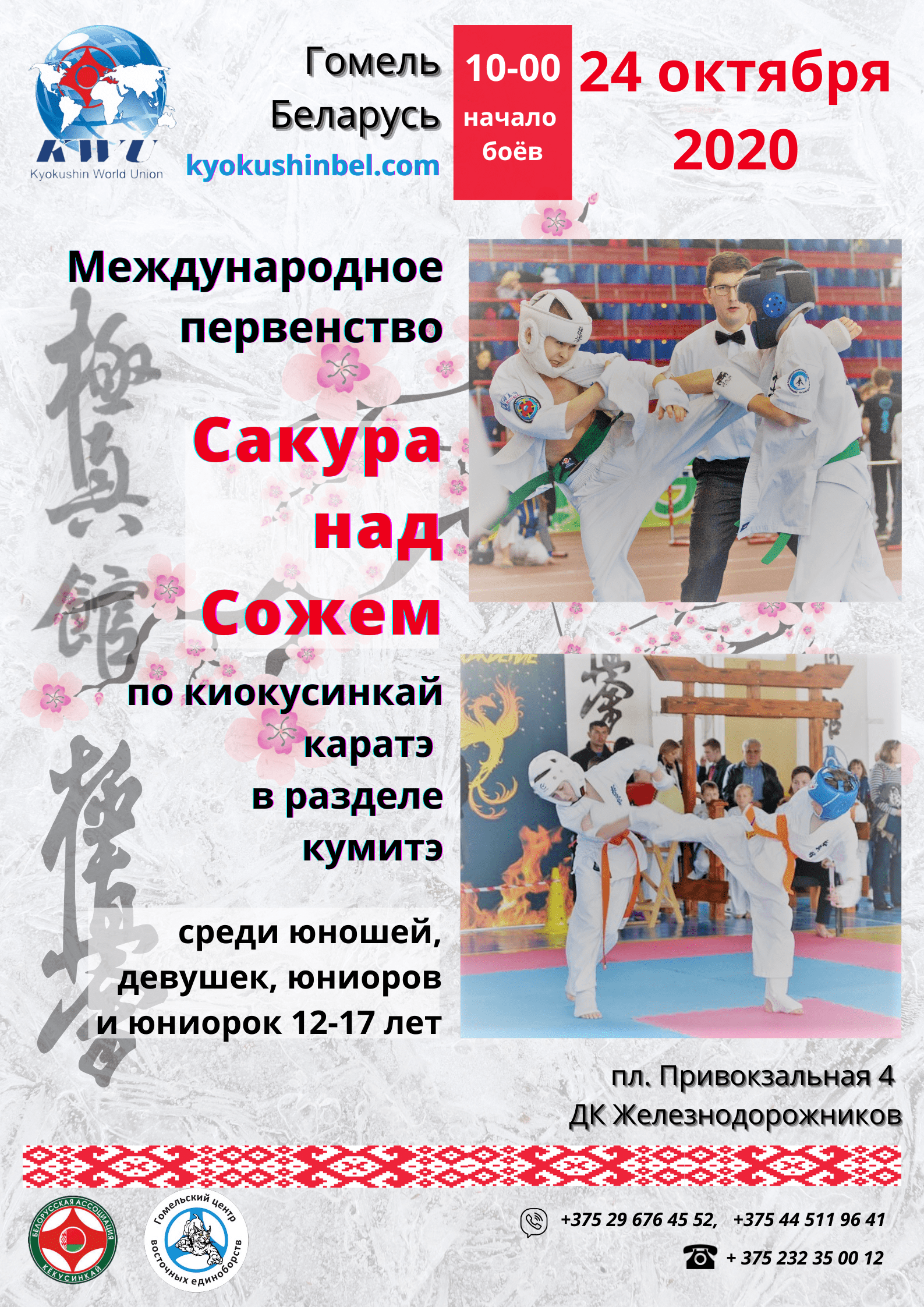 Сакура над Сожем 12-17 лет