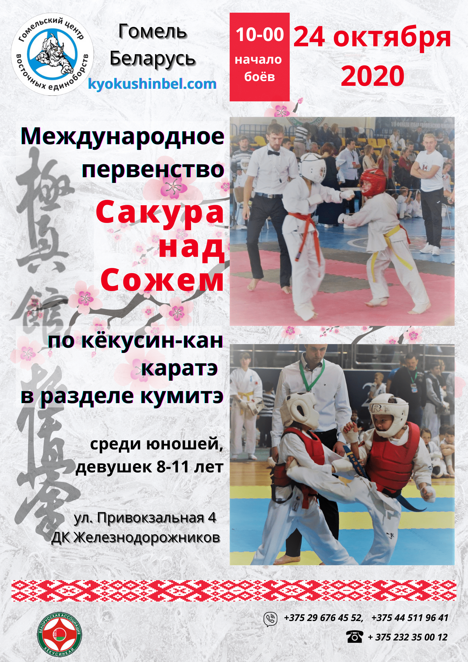 Сакура над Сожем 8-11 лет