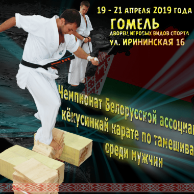 II-ой чемпионат по тамэсивари