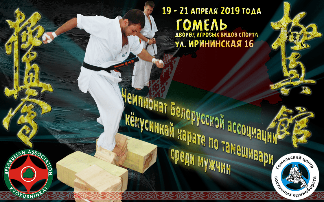 II-ой чемпионат по тамэсивари