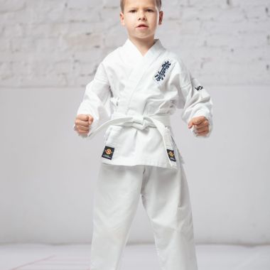 Положение Турнира по карате Юный воин